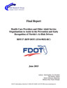 fdot-full-report